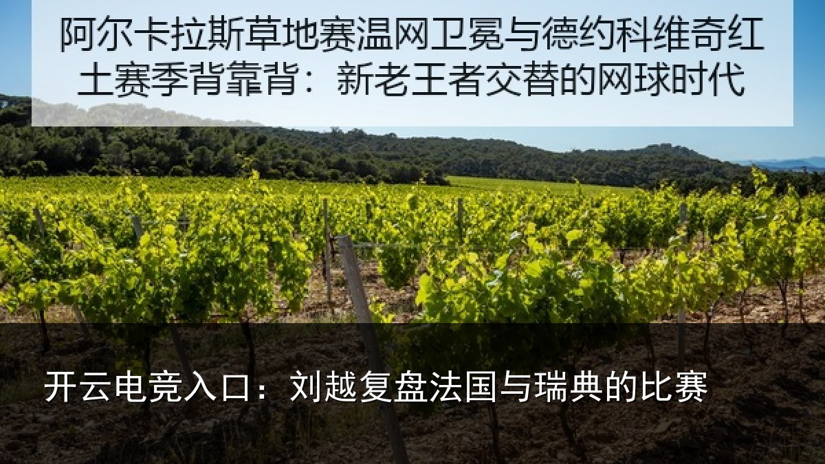开云电竞入口：刘越复盘法国与瑞典的比赛