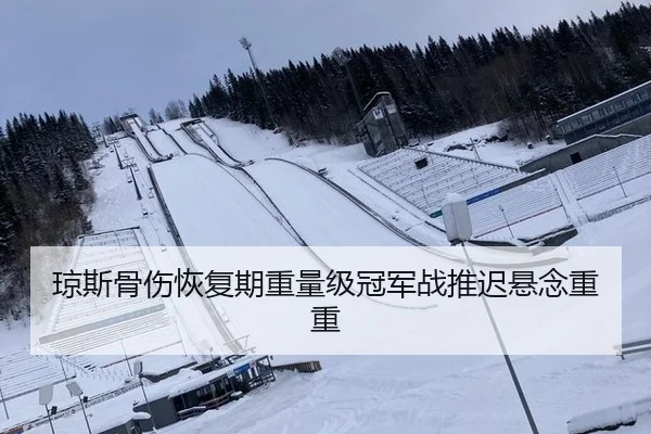 琼斯骨伤恢复期重量级冠军战推迟悬念重重
