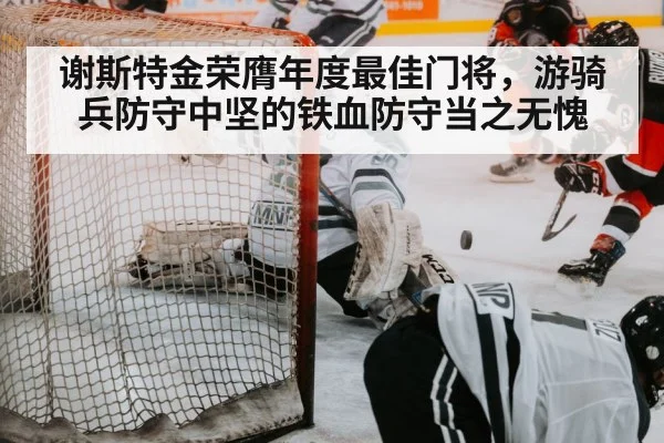 hockey goalie save
