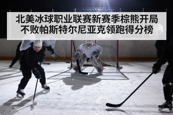 北美冰球职业联赛新赛季棕熊开局不败帕斯特尔尼亚克领跑得分榜